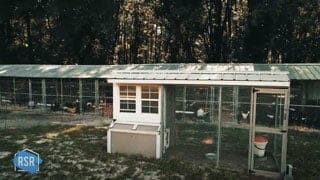 Chicken coop